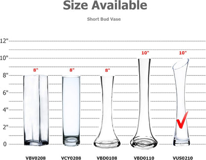 WGV Maria Bud Vase, 2" Width, 10" Height, Clear Slant Cut Opening Glass Floral Container for Decor