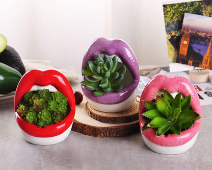 WHJY Sexy Lips Planter Pot, Pink Ceramic Succulent Planter