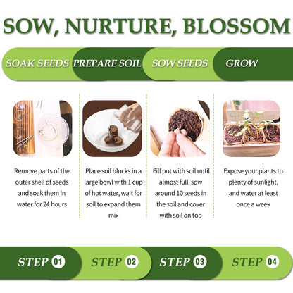 5 DIY Bonsai Tree Kit for Beginners, Complete Indoor Gardening Starter Kit with Seeds, Soils, Pots & Tools, Unique Birthday Gifts Ideas for Women, Men