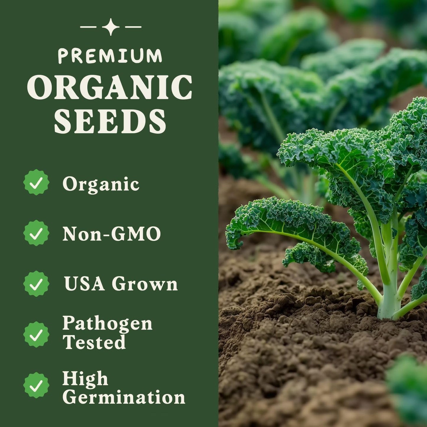Packet Seedboy Organic Kale Seeds for Planting Indoor and Outdoor, Non-GMO and USDA Certified Vegetable Seed