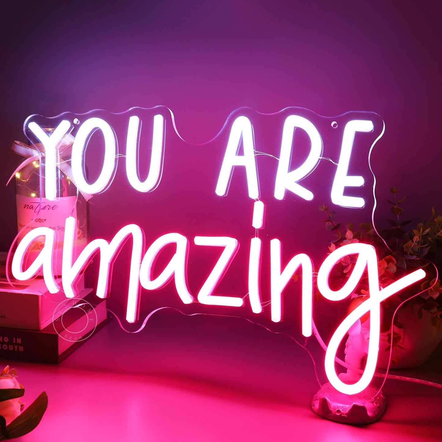 SYLHOME You Are Amazing LED Neon Light Sign 5V Girls Boys Bedroom Living Room Classroom Wall Decor Sign Hanging Smart Kid Birthday USB 16.9" X 10.6" Warm White