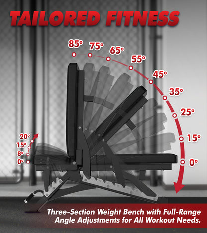 RITFIT Adjustable Weight Bench with Multiple Back Positions for Full Body Workouts, Incline, Decline, and Flat Settings for Home Gym Strength Training, 1300LB Capacity (Black,with 2x5lb rubber dumbbells)