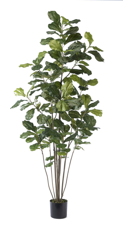 Petals - 7' Fiddle Leaf Fig Silk Tree - 7' Height x 42" Width