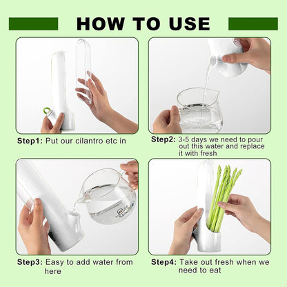 Ristpal 3Pack Herb Saver for Refrigerator for Cilantro, Parsley, Asparagus, Mint,Vegetable Preservation Containers, Keeps Greens Vegetables for 2-3 Weeks