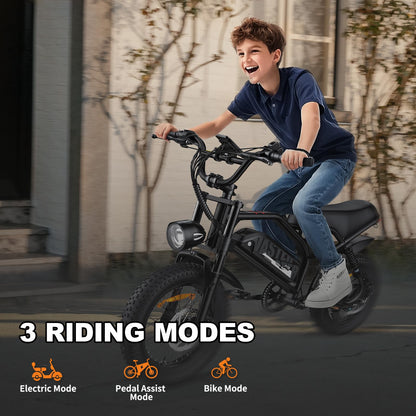 VDL Mountain Electric Bike for Adults, 16" Fat Tire Ebike, Wider Seat 800W Peak Motor, Removable Battery, Front Fork Suspension, 20MPH, UP to 35 Miles Mountain Ebike, for Leisure Riding&Commuting