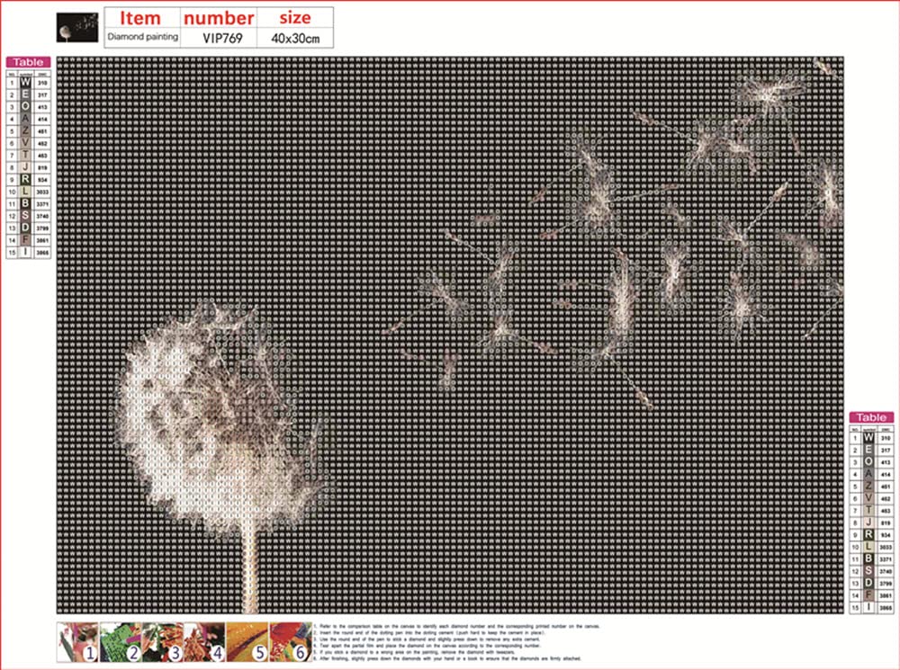 Pimio 5D DIY Diamond Art Painting Kits,Round Full Drill Dandelion Diamond Art Kits for Adults Beginner, Perfect for Home Wall Decor and Gift(16x12inch)