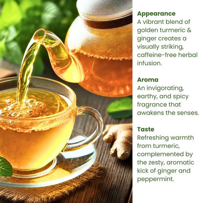 (120 Bags/240 Cups) Rachel’s Tea: Turmeric, Wild Yam, Ginger, Marshmallow, Chamomile, Peppermint, Fennel Slippery Elm