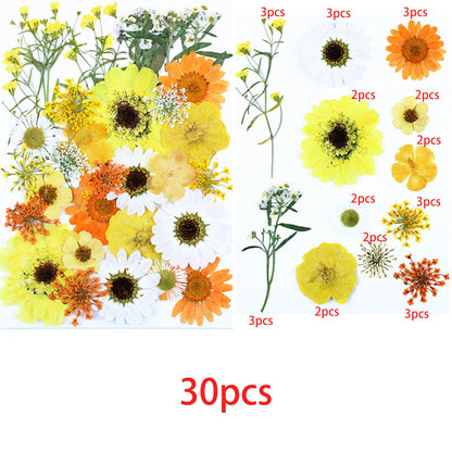 Cayway 4 Pack Pressed Flowers Natural Dried Flowers Colorful Resin Flowers Real Pressed Flowers for Resin Scrapbook DIY Art Crafts, Epoxy Resin Jewelry, Card Making Supplies, Style G