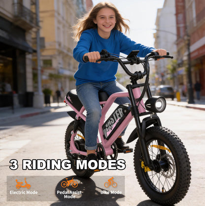 VDL Mountain Electric Bike for Teenager, 16" Fat Tire Ebike, Wider Seat 800W Peak Motor, Removable Battery, Front Fork Suspension, 20MPH, UP to 35 Miles Mountain Ebike, Black-Pink