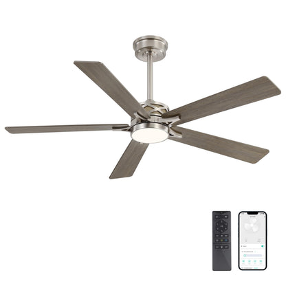 WINGBO 60" Smart Ceiling Fan with Lights and 3 Downrods, 5 Plywood Blades, 6 Speeds Reversible DC Motor, Works with Alexa and Google Assistant, 3CCT Dimmable LED Large Ceiling Fans, Nickel and Grey