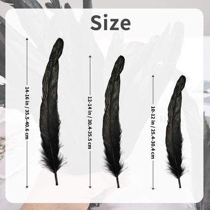 150 Pcs Natural Rooster Tail Feathers, 14-16" 12-14" 10-12" (50 Each), Bulk for DIY Crafting, Hat Decoration, Wedding, Halloween Costume & Masquerade Party Supplies (Black)
