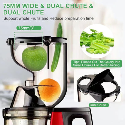TeqHome Cold Press Juicer,300W Electric Masticating Juicer Machines with 3" Large Feed Chute for Whole Fruits and Vegetables,Upgraded High Juice Yield Juice Extractor Machine with 2 Cups,Easy to Clean