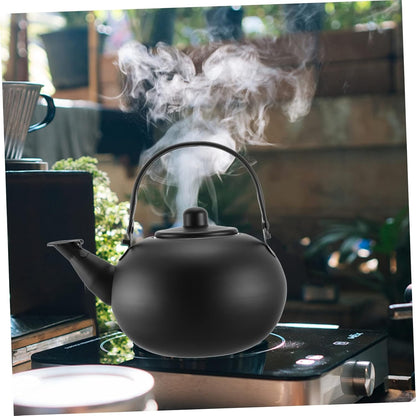 Cast Iron Tea Kettle with Metal Coffee Filter, Heating Teakettle for Gas Stove, Stainless Steel Field, Make Tea
