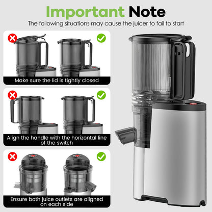 EanOruus Cold Press Juicer, 5.8" Wide Feed Chute Juice Extractor Machine with 400W, High Juice Yield, Slow Masticating Juicer for Whole Vegetables & Fruits, Silver