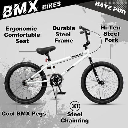 cubsala 20 Inch BMX Race Bike Trident Bicycles Beginner-Level to Advanced Riders with 2 Pegs Trick Cycling and Professional BMX Riding, Color White