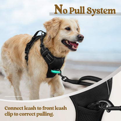 rabbitgoo Dog Harness No Pull with 2 Leash Clips, Adjustable Soft Padded, Reflective Oxford No Choke Pet Vest with Easy Control Handle for Medium Sized Dogs, Black, M