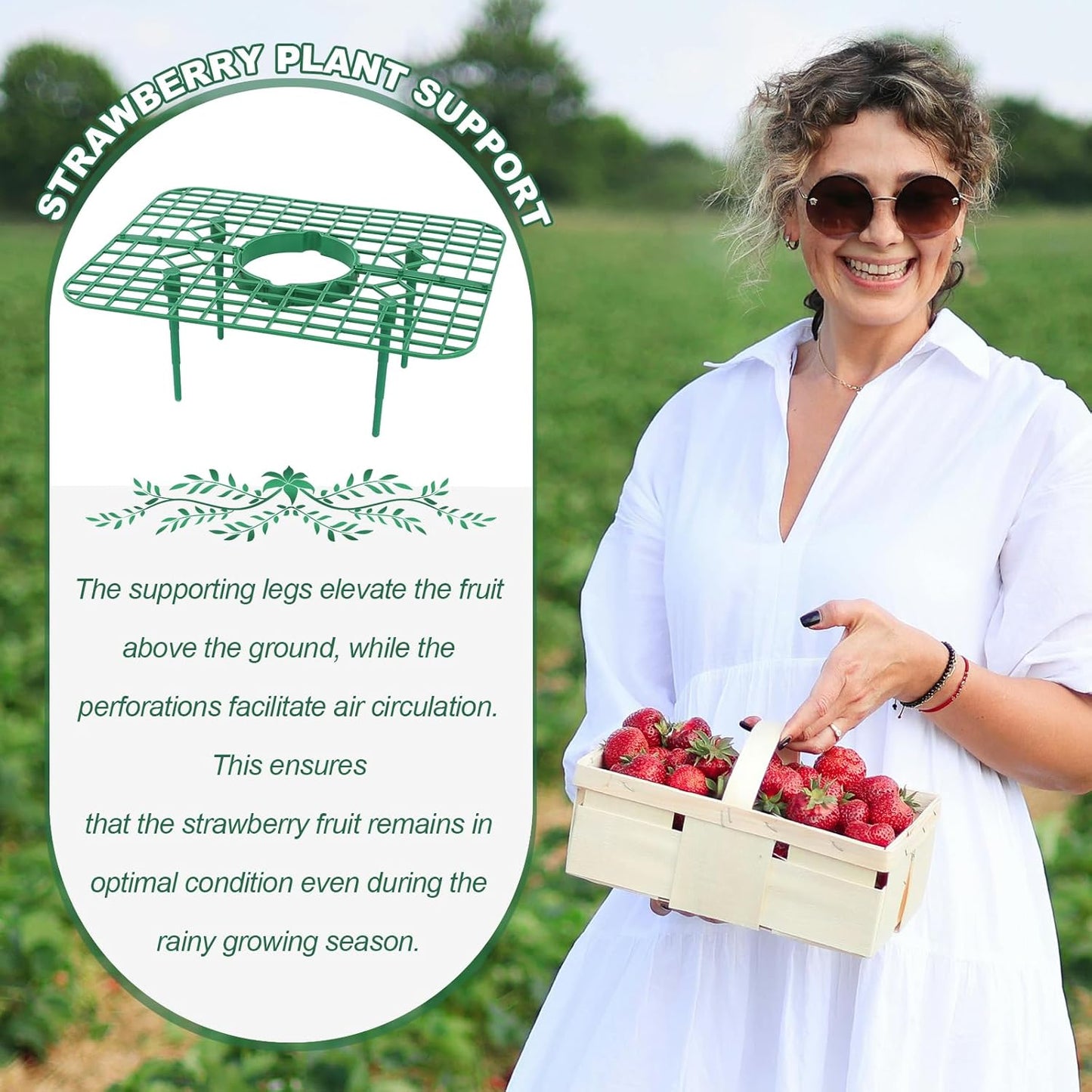Qumenan 5 Pack 4 Strawberry Plant Support Square Strawberry Supports for Garden Green Holder Plastic Stand with Sturdy