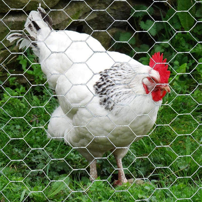 20GA 36 inches 25 1 inch Galvanized Hexagonal Poultry Netting Chicken Wire x feet x Mesh