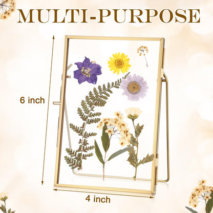 Vicenpal 3 Pack Glass Pressed Flower Frame Handmade, 4 x 6 floating Picture Frames for Pressed Flowers, Brass Double Glass for Tabletop Display, Home Office Plant Specimen, Photos(Gold)