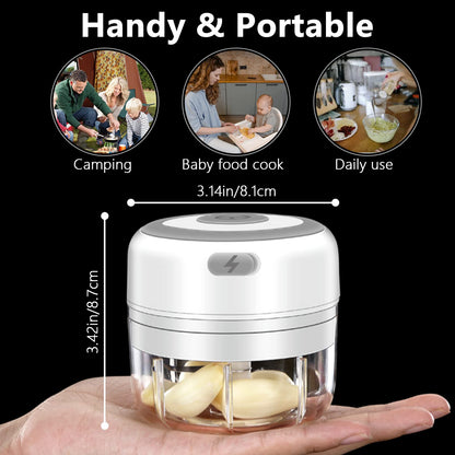 Electric Mini Garlic Chopper, 100ML Food Chopper Garlic Mincer USB, Portable Small Food Processor for Vegetables
