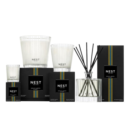 NEST New York Reed Diffuser Liquid Refill, Sicilian Tangerine - 5.9 fl oz - Fragrance for Up to 90 Days - Flame Free