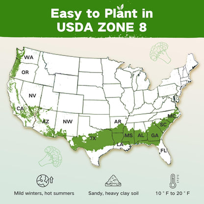 8 30,000+ 32 USDA Zone Heirloom Seed Bank, Non-GMO Varieties of Seeds for Planting Vegetables Herbs, Survival Seed Kit