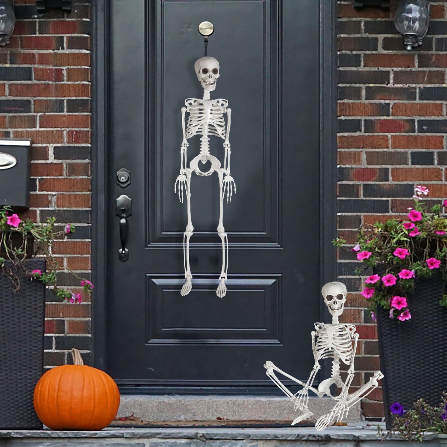 Kukooka 3ft Halloween Skeleton Decor Plastic Life Size Full Body Human Bones with Movable Joints for Halloween Decoration (1 Piece)