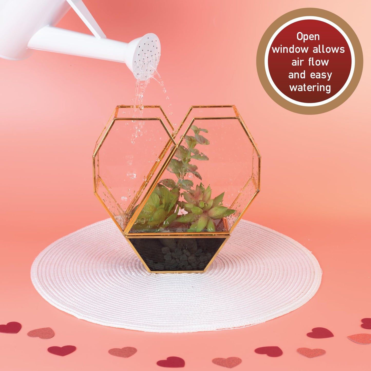 D'Eco Glass Heart Centerpiece (8x8x2.5)- Tabletop Planter Terrarium - Spring Home Decor & Wedding Letterbox - Fill with Succulents, Cacti, Air Plants, Moss, Flowers for Plant Lovers