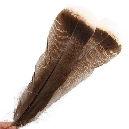 THARAHT 24pcs Natural Wild Turkey Tails Feathers Quill Bulk 8-10inch 20-25cm for DIY Crafts Project Collection Wedding Decoration Wild Turkey Tails Feather
