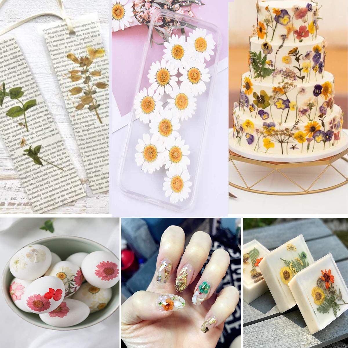 140PCS White Dried Pressed Flowers with Butterfly Stickers - YouthBro Real Nature Flowers Craft Set for Resin DIY Jewelry Candle Soap Vase Making Nail Card Scrapbook Art Floral Decors