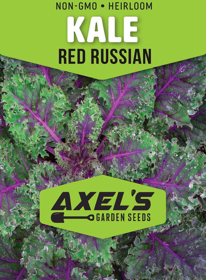 Axel's Garden Seeds 2 Packets Red Russian Kale Seeds for Planting Plant & Grow Heirloom Non GMO Red Russian Kale