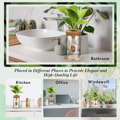 12 Packs Baderke Propagation Vases for Plants Plastic Plant Propagation with Hole Lid and Bamboo Stand Growing in Water
