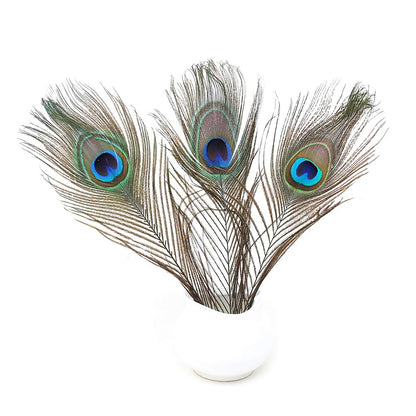 60 PCS Real Natural Peacock Eye Feathers 10-12 inch for DIY Craft, Wedding and Holiday Decorations