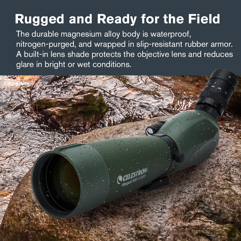 Celestron – Regal M2 80ED Spotting Scope – ED Glass for Birding and Outdoor Activities – Phase and Dielectric Coated BaK-4 Prism – Fully Multi-Coated Optics – Dual Focus – 20-60x Zoom Eyepiece