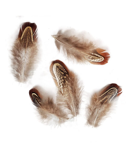 200 pcs Natural Pheasant Plumage Feathers 2-3 Inches Plumage Feathers for Sewing Crafts Clothing Decorating Accessories -Nature