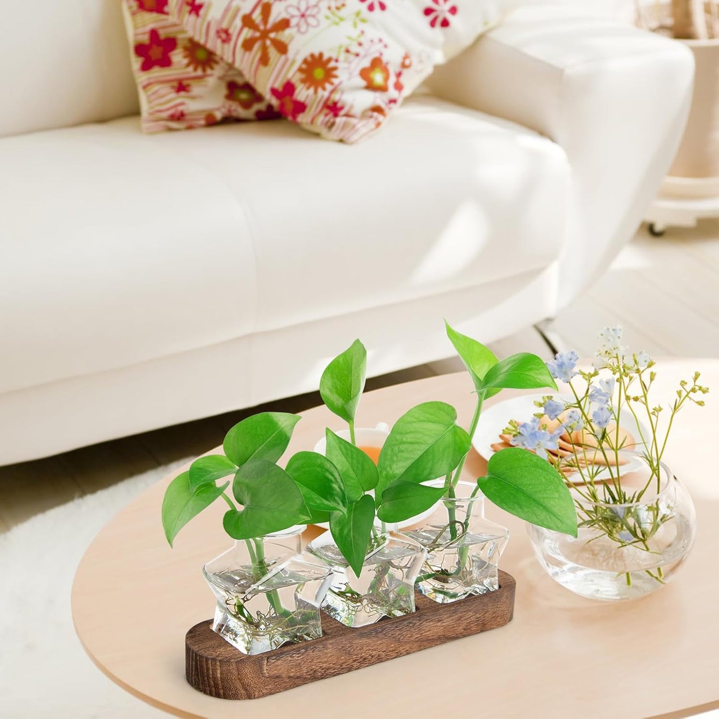 ohohFLOWER Plant Propagation Stations, Plant Lover Gift, Star Shaped Glass Vase with Wooden Stand for Propagating