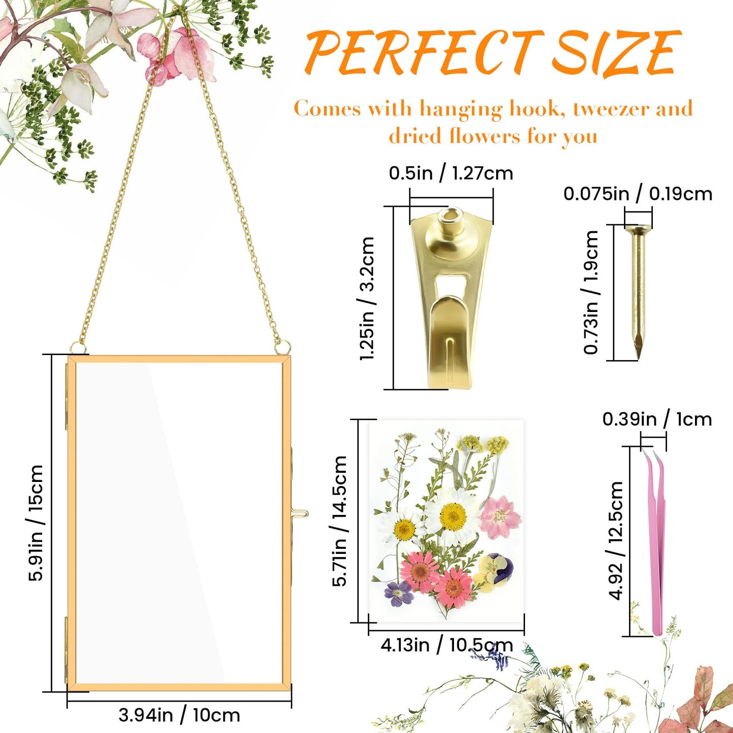 Pressed Flower Frames with Hanger & Tweezer & Dried Flowers, 4 x 6 Inch Wall Double Glass Floating Hanging Picture Photo Frame with Chain for Wall Decor and Display, Hanging Picture or Artwork (Gold)