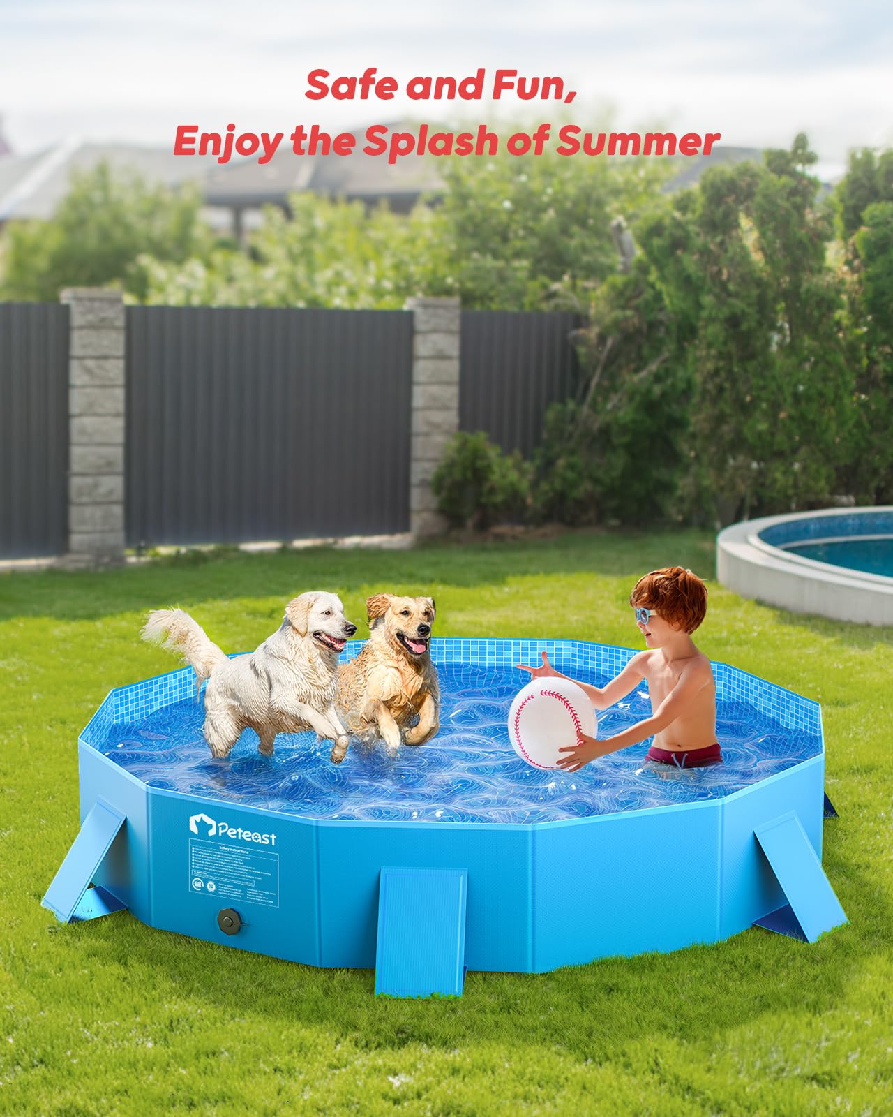 Peteast Foldable Dog Kiddie Pool with Stable Side Support, Hard Plastic Shell Portable Dog Pool, Collapsible Swimming Pools for Pet and Kids, 64 in