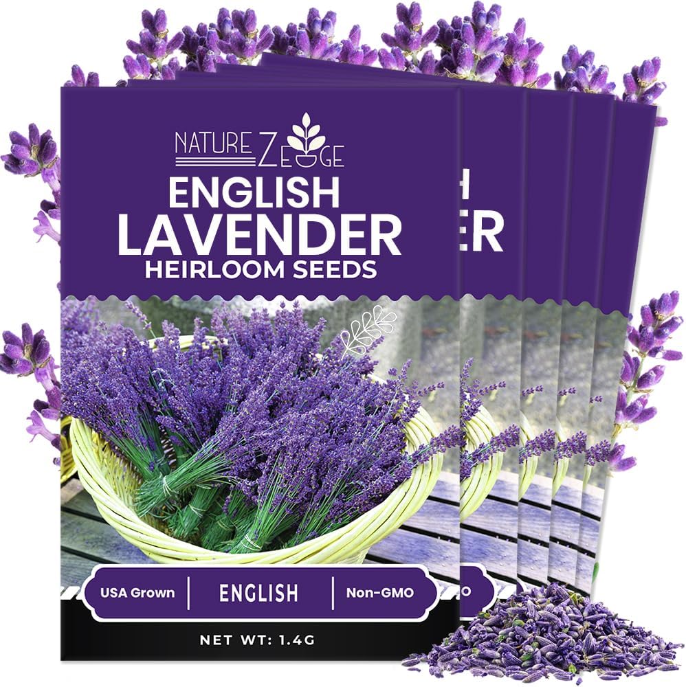 7500 90% (5 Pack) NatureZ Edge English Lavender Seeds for Planting Outdoors or Indoors, Germination, to Give You The
