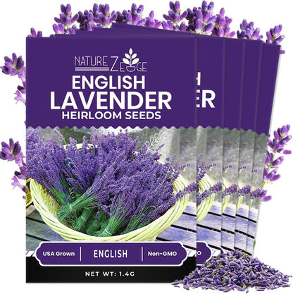 7500 90% (5 Pack) NatureZ Edge English Lavender Seeds for Planting Outdoors or Indoors, Germination, to Give You The