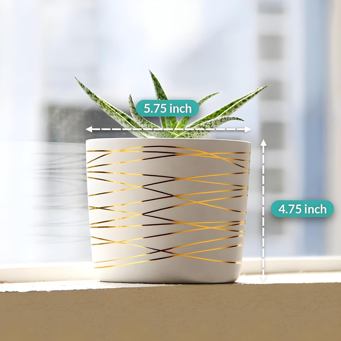 Willowy 6 Inch Ceramic Pot, Matte White with Gold Stripes, Drainage Plug Included