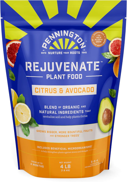 4 Pennington Rejuvenate Citrus & Avocado Pounds