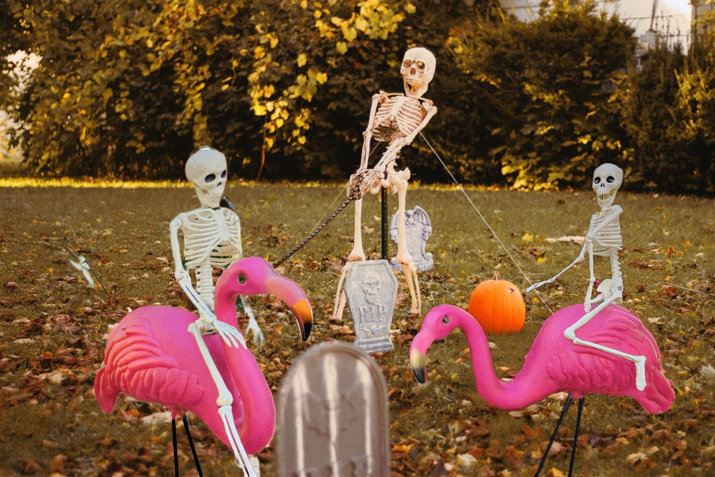 GiftExpress 2-Pack Posable 16" Skeletons + 2-Pack 26" Pink Flamingo Lawn Ornaments Halloween Outdoor Yard Decorations, Spooky Halloween Graveyard
