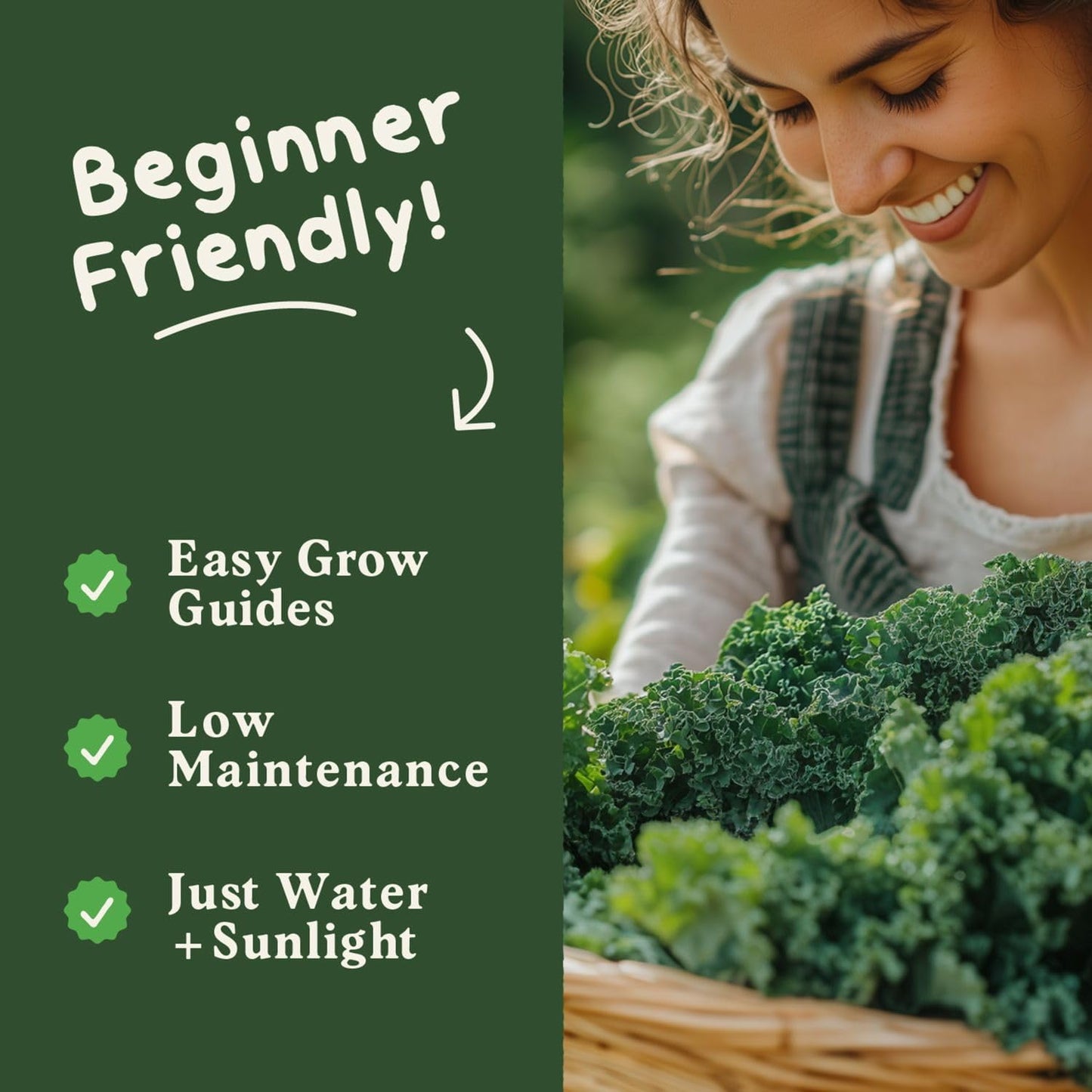Packet Seedboy Organic Kale Seeds for Planting Indoor and Outdoor, Non-GMO and USDA Certified Vegetable Seed