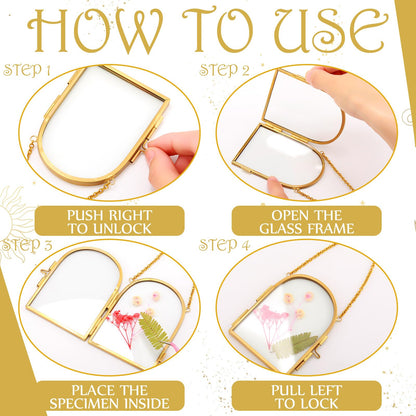 Qunclay 8 Pcs Glass Frame for Pressed Flowers 3.5 x 2.5 Inch Brass Hanging Photo Frame with Chain Arched Double Floating Picture Frames for Artwork Display DIY Dried Plant Specimen(Gold)
