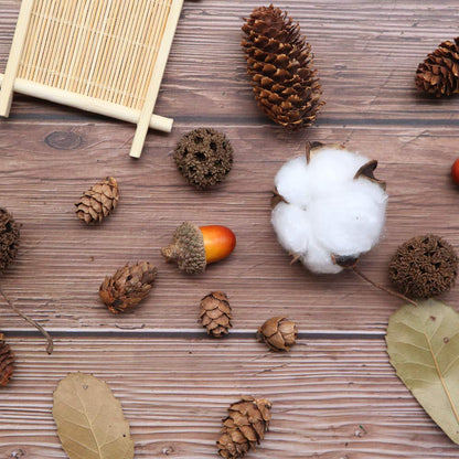 Apol Total 200 Pcs Natural Mini Pinecones Maple Fruit Ornament Set for Vase Fillers Photo Props DIY Home House Christmas Decoration Craft