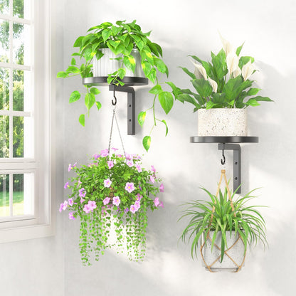 2Pcs 2 LASZOLA Plant Hangers Shelves Wall Mounted Indoor, Metal Window Plant Holders, Modern Floating Flower Display