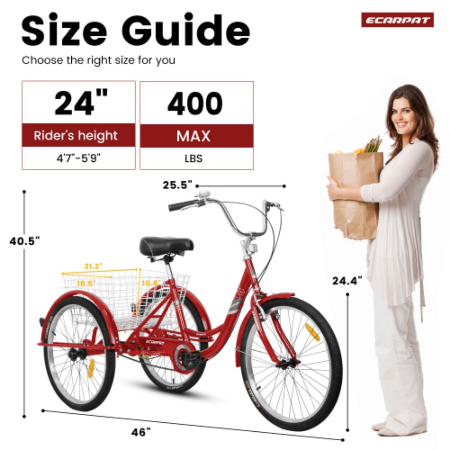 RENPINYOUX Tricycle, Adult Tricycle, 24" Tricycle with Shopping Basket, 350 Lb Capacity, Easy to Install, Suitable for Seniors, Women and Men