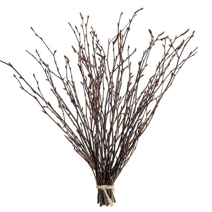 17 Inch Natural Birch Branches Dried Birch Twigs Wreath Making Supplies Dried Plants for Rustic Home Decor Easter Stems Vase Filler DIY Crafts Vases Tall Wreath Christmas Decoration Wedding (30Pcs)