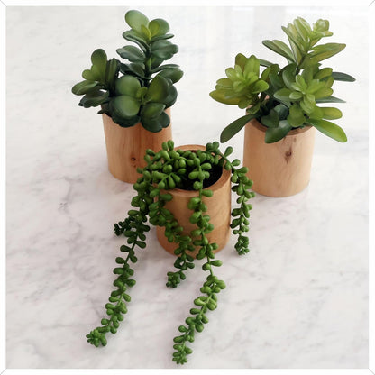 VINSUNI Set 3 Artificial Succulents with Pots - of Small Fake Plants for Aesthetic Room Decor - Realistic Mini Faux
